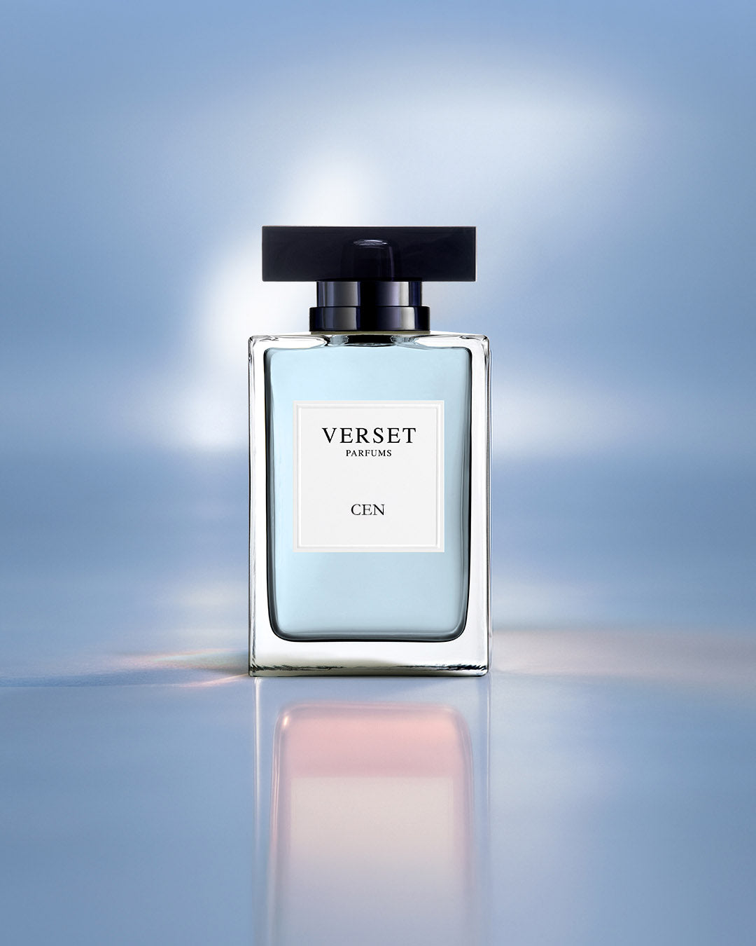 Copy of D_VVH16-CEN100.jpg