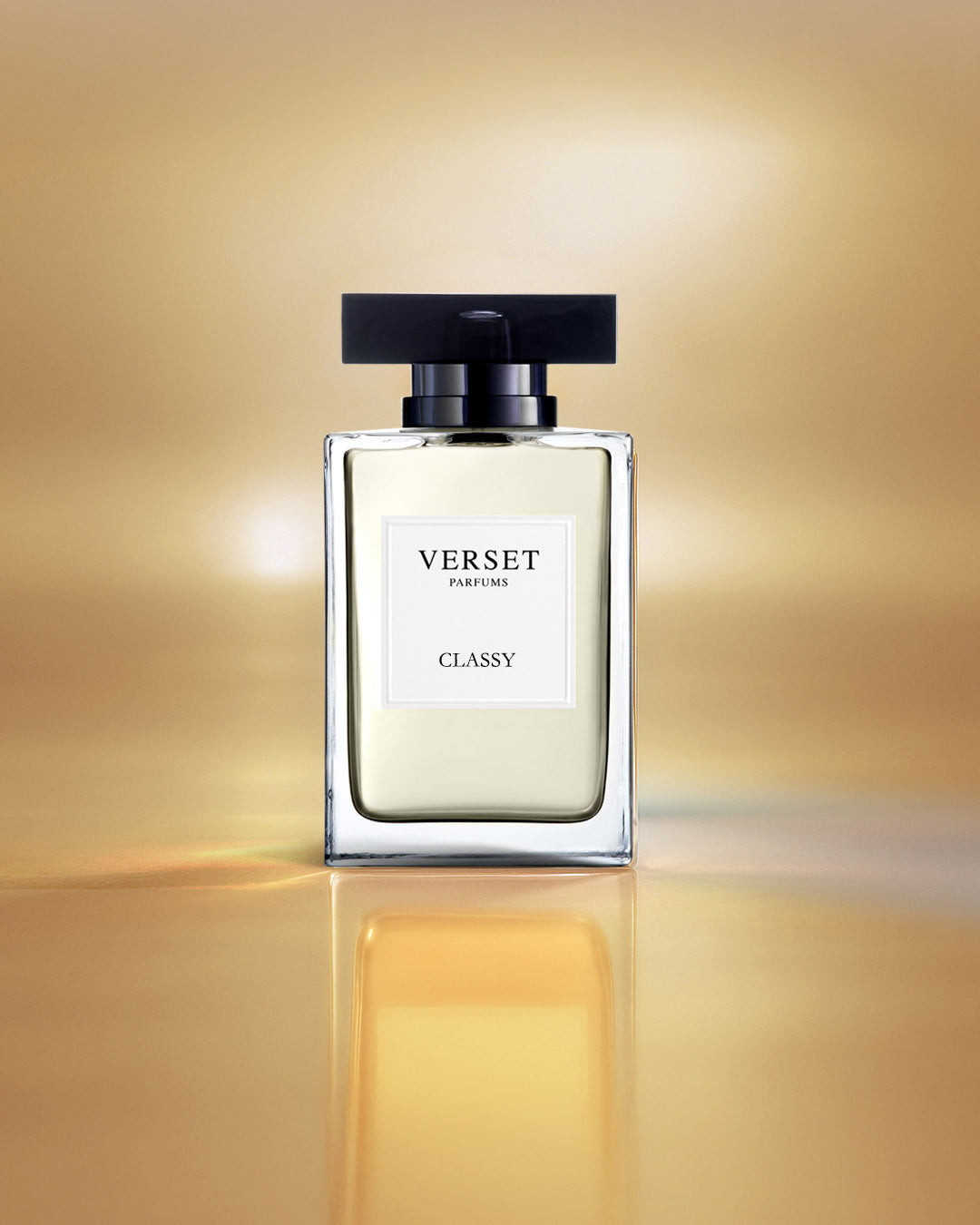 Copy of D_VVH16-CLA100.jpg