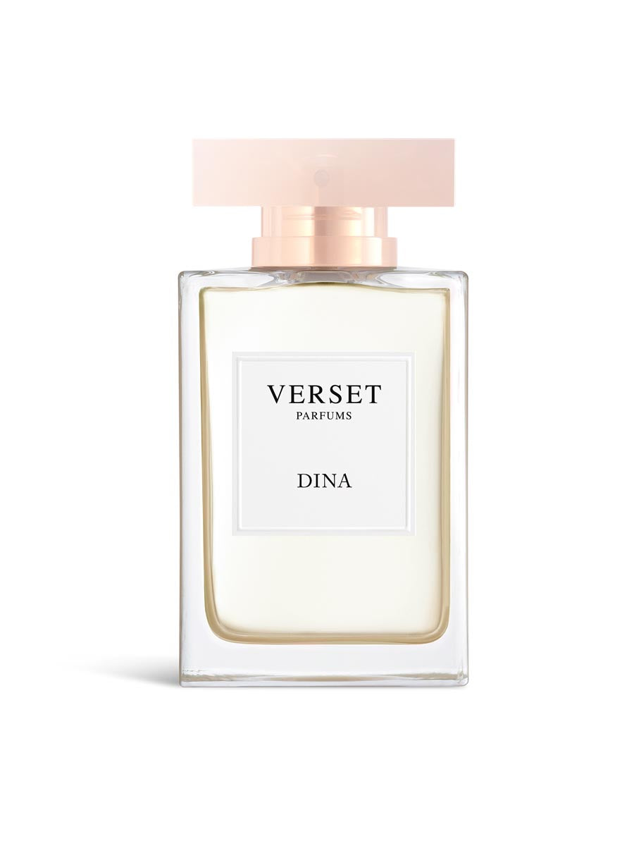 Copy of A_VVF20-DIN100.jpg