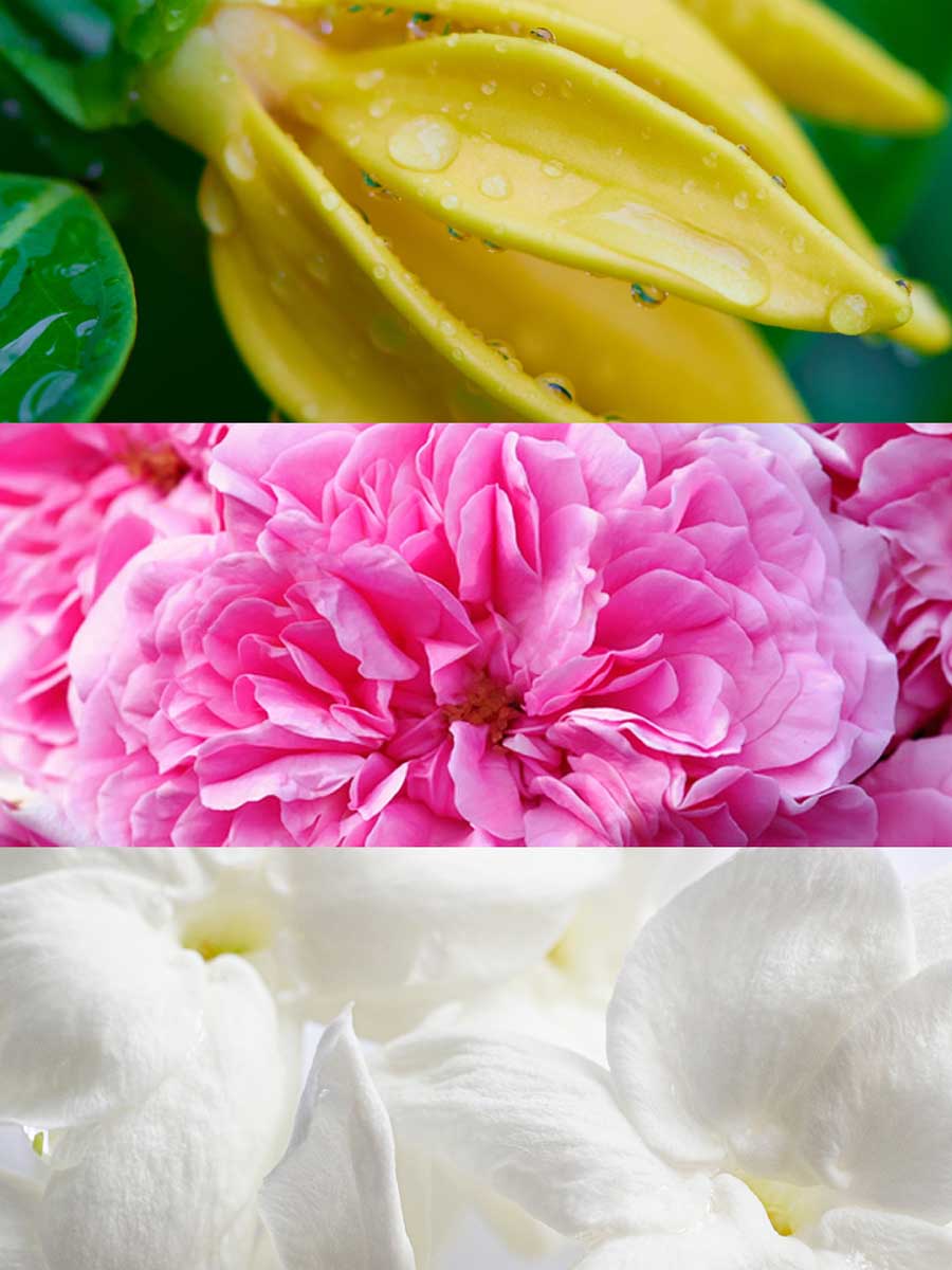 Copy of C_VVF20-DIN100.jpg