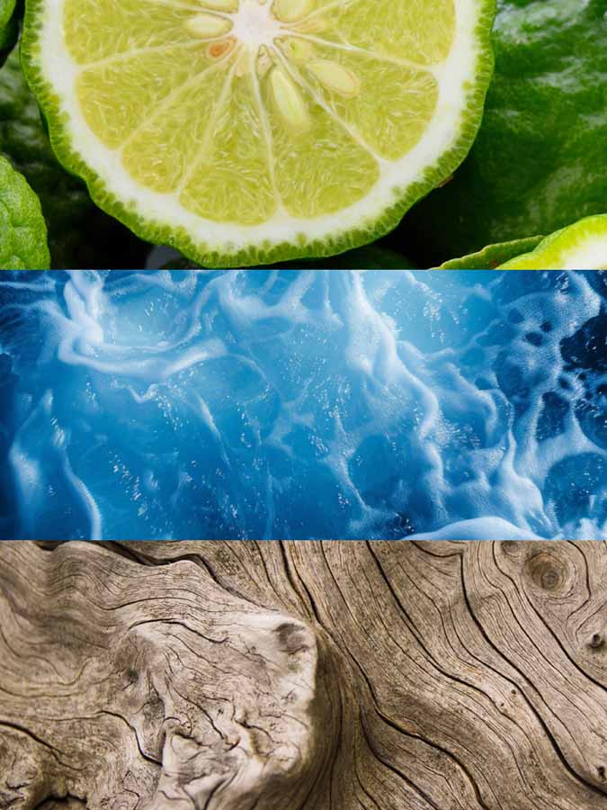 Copy of C_VVH16-IKA100.jpg