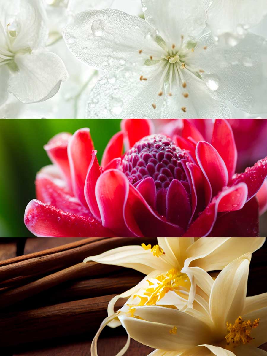 Copy of C_VVF16-JAN100.jpg