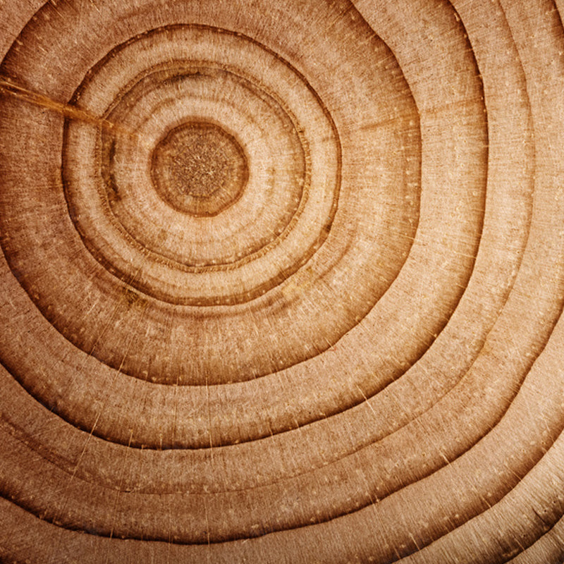 cedar-wood-base