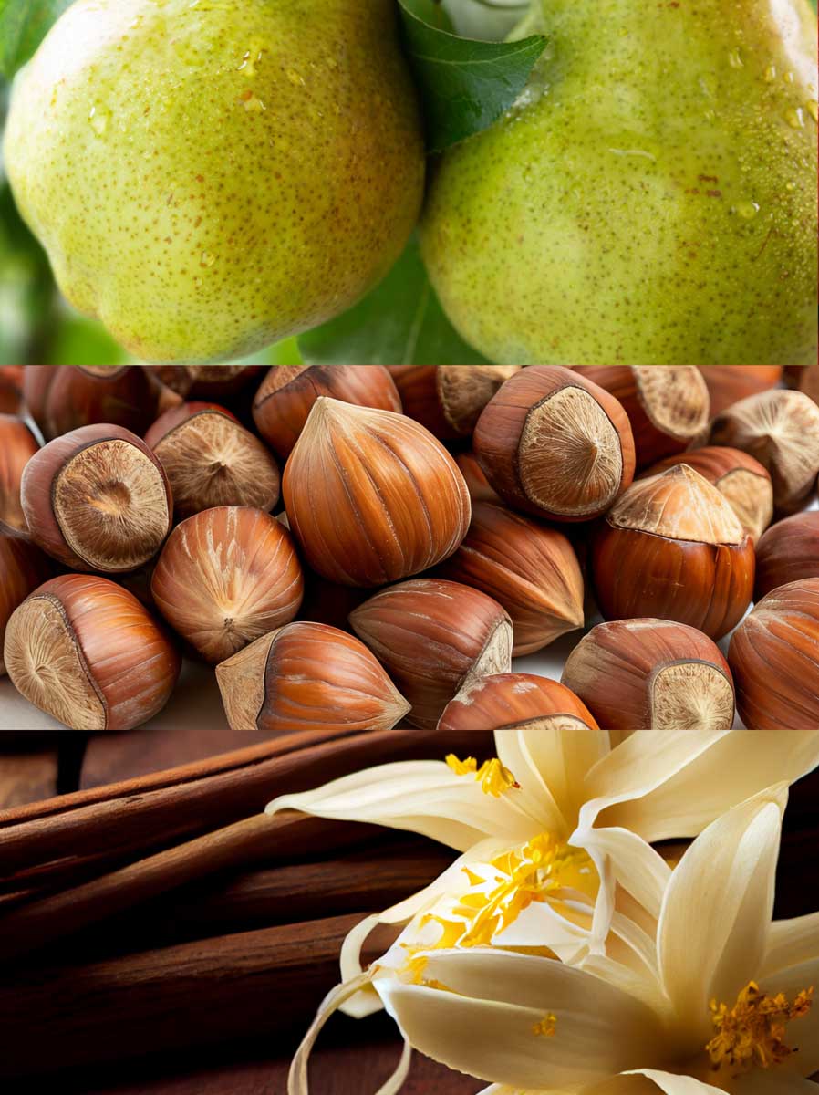 Copy of C_VVF16-PIN100.jpg