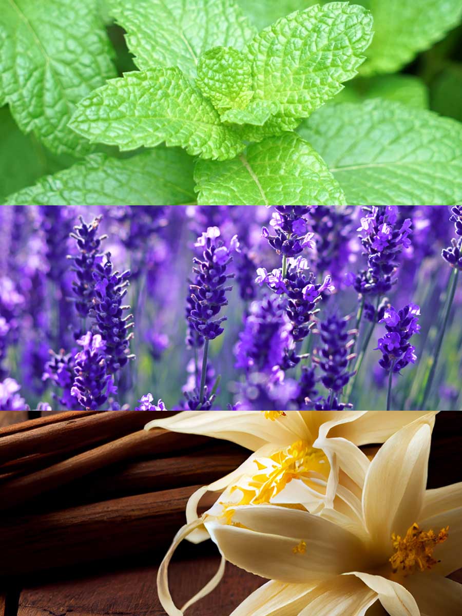 Copy of C_VVH16-POU100.jpg