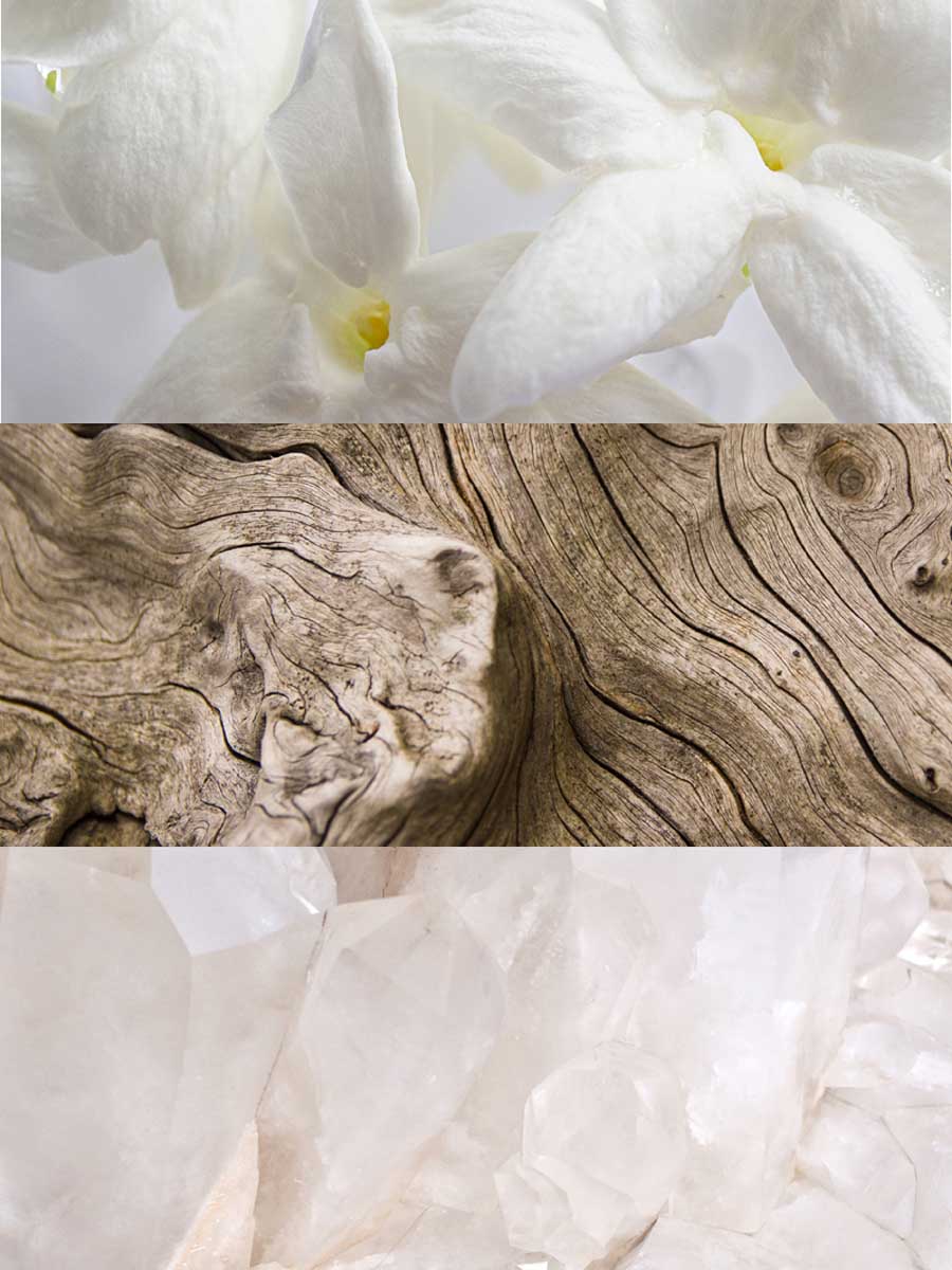 Copy of C_VVF16-RAD100.jpg