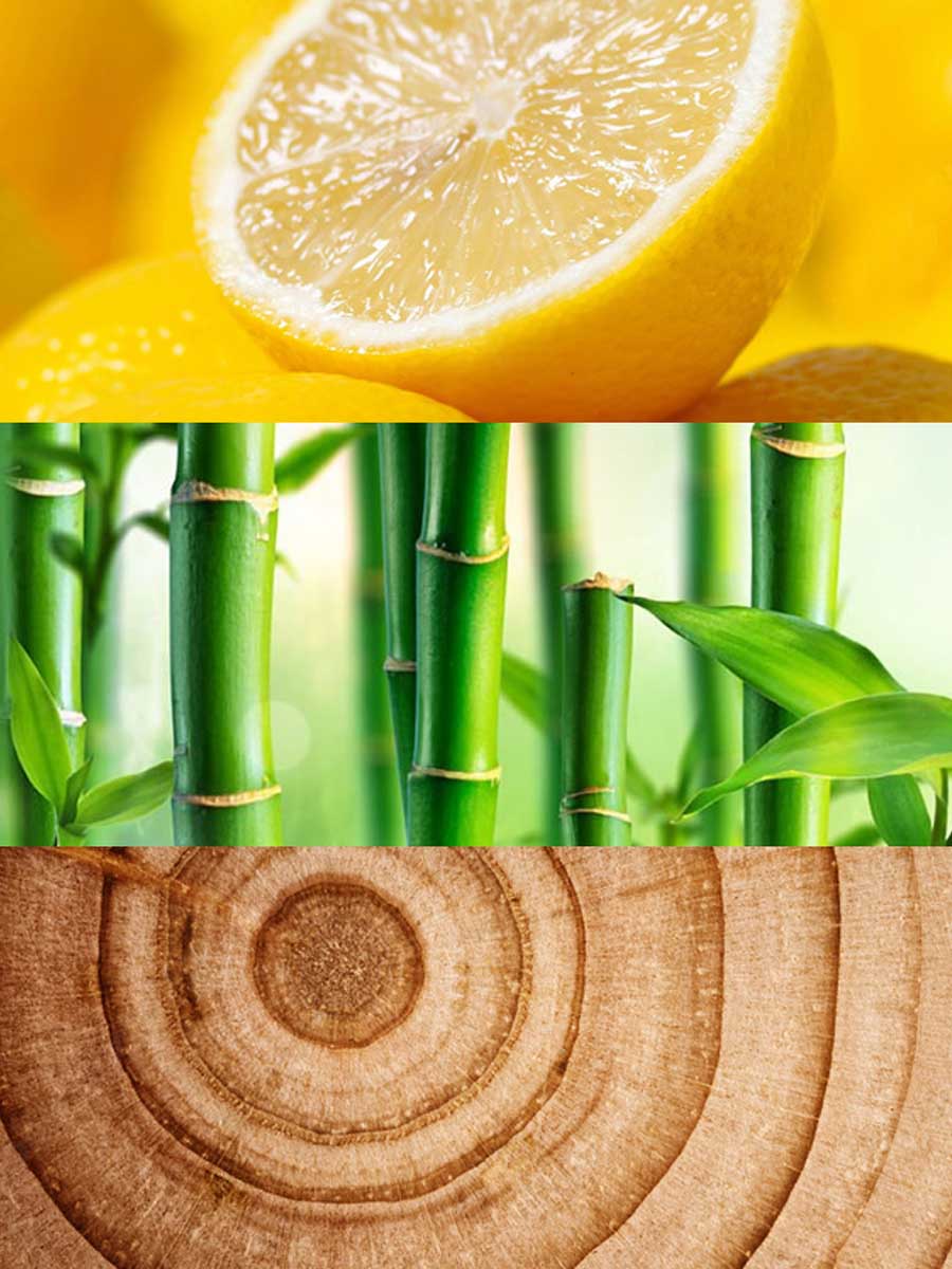 Copy of C_VVF16-SES100.jpg