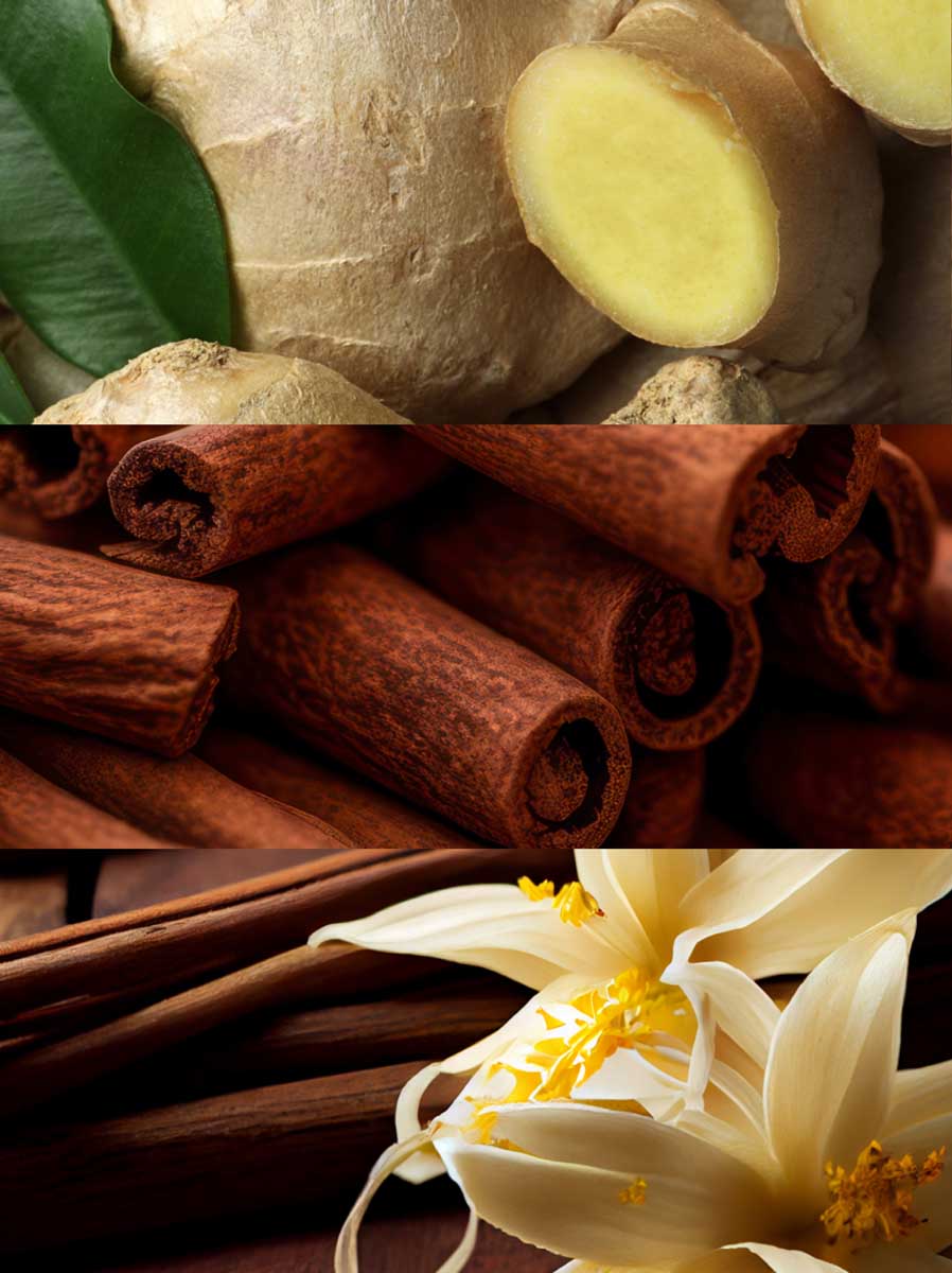 Copy of C_VVH16-TOG100.jpg