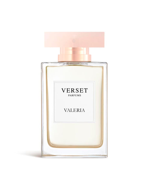 Copy of A_VVF16-VAL100.jpg