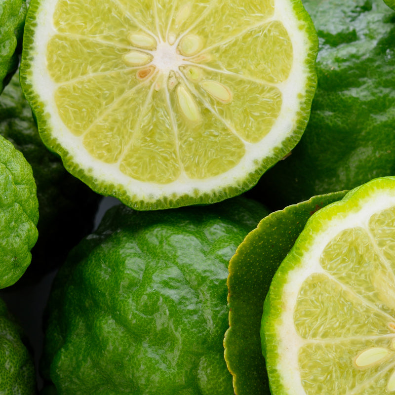 bergamot-top